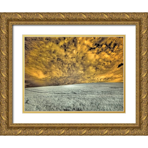 USA-Washington State-Palouse-wheat field and clouds Gold Ornate Wood Framed Art Print with Double Matting by Eggers, Terry