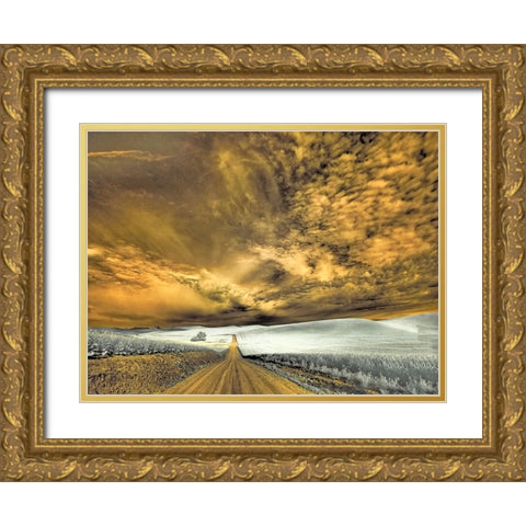 USA-Washington State-Palouse-Backcountry road through wheat field and clouds Gold Ornate Wood Framed Art Print with Double Matting by Eggers, Terry