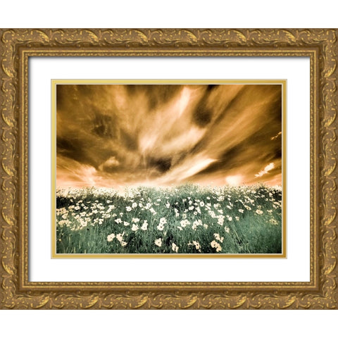 USA-Washington State-Palouse-Spring Poppies and Backcountry road through wheat field and clouds Gold Ornate Wood Framed Art Print with Double Matting by Eggers, Terry
