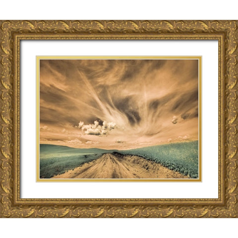 USA-Washington State-Palouse-Backcountry road through canola field and clouds Gold Ornate Wood Framed Art Print with Double Matting by Eggers, Terry