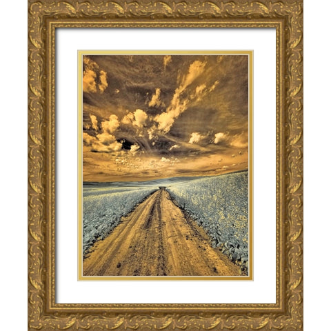 USA-Washington State-Palouse-Backcountry road through canola field and clouds Gold Ornate Wood Framed Art Print with Double Matting by Eggers, Terry