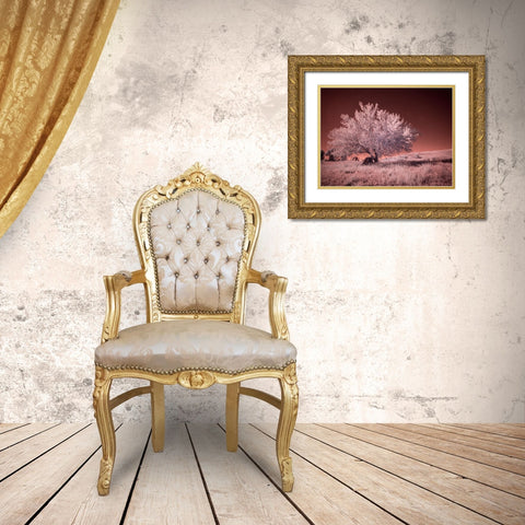 USA-Washington State-Palouse region-Lone tree in Field Gold Ornate Wood Framed Art Print with Double Matting by Eggers, Terry