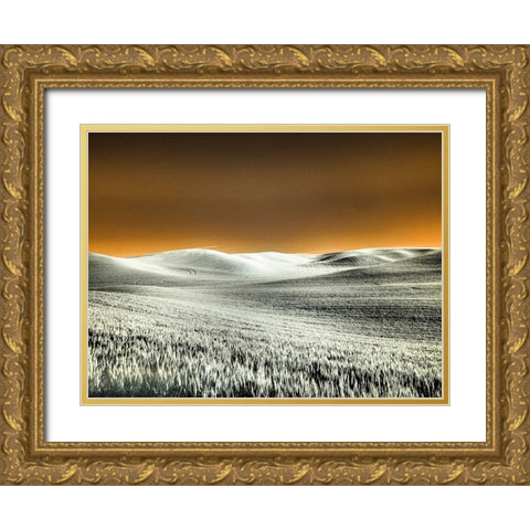 USA-Washington State-Palouse region-Rolling Hills of wheat Gold Ornate Wood Framed Art Print with Double Matting by Eggers, Terry