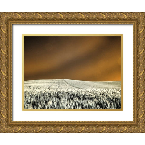 USA-Washington State-Palouse region-Rolling Hills of wheat Gold Ornate Wood Framed Art Print with Double Matting by Eggers, Terry