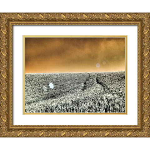 USA-Washington State-Palouse region-Rolling Hills of wheat Gold Ornate Wood Framed Art Print with Double Matting by Eggers, Terry