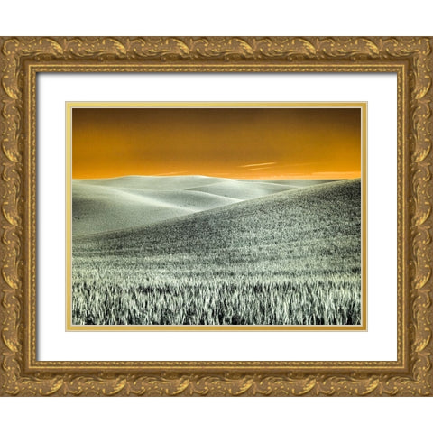 USA-Washington State-Palouse region-Rolling Hills of wheat Gold Ornate Wood Framed Art Print with Double Matting by Eggers, Terry