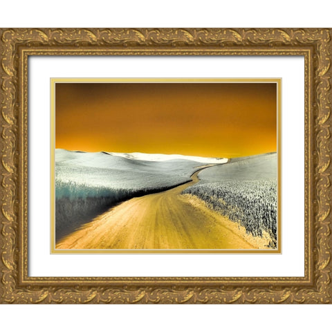USA-Washington State-Palouse region-Country backroad through wheat fields Gold Ornate Wood Framed Art Print with Double Matting by Eggers, Terry