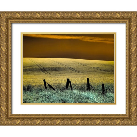 USA-Washington State-Palouse region-Fence and field of wheat Gold Ornate Wood Framed Art Print with Double Matting by Eggers, Terry