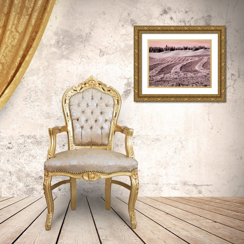 USA-Washington State-Palouse region-Harvest cut lines in Field Gold Ornate Wood Framed Art Print with Double Matting by Eggers, Terry