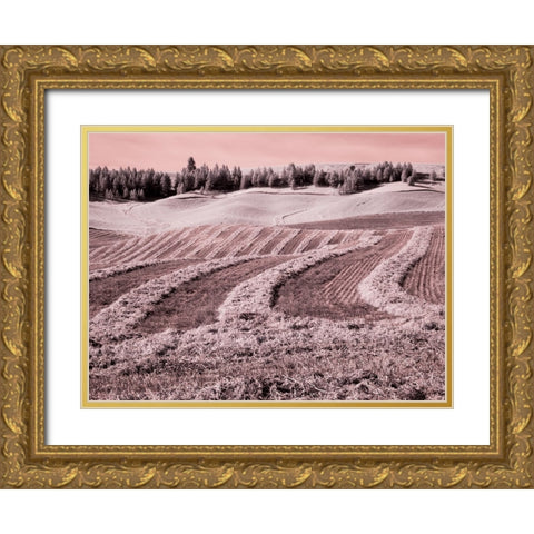 USA-Washington State-Palouse region-Harvest cut lines in Field Gold Ornate Wood Framed Art Print with Double Matting by Eggers, Terry