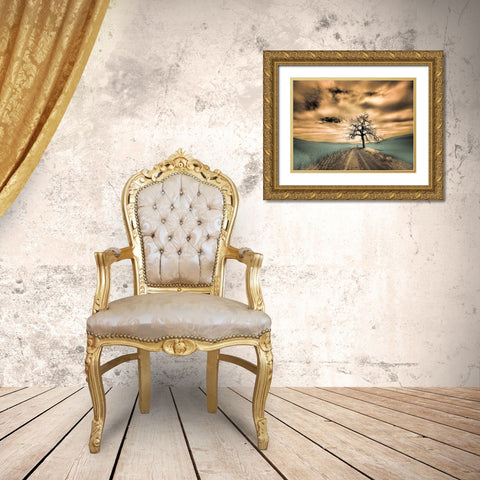 USA-Washington State-Palouse Infrared of lone tree along side country road Gold Ornate Wood Framed Art Print with Double Matting by Eggers, Terry