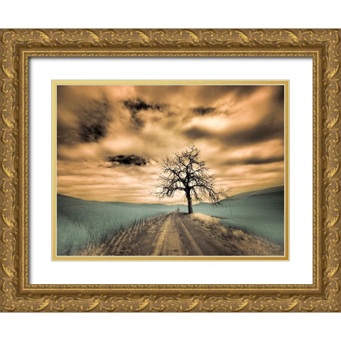 USA-Washington State-Palouse Infrared of lone tree along side country road Gold Ornate Wood Framed Art Print with Double Matting by Eggers, Terry