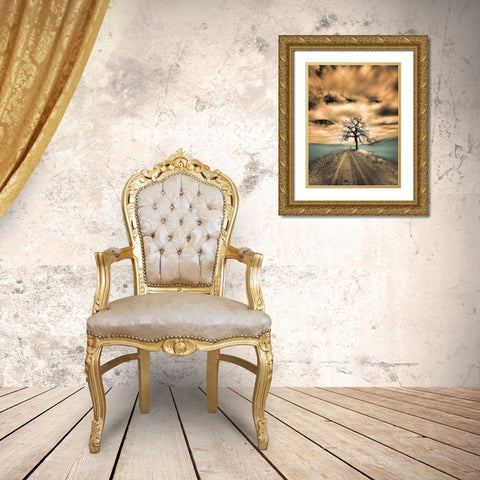 USA-Washington State-Palouse Infrared of lone tree along side country road Gold Ornate Wood Framed Art Print with Double Matting by Eggers, Terry