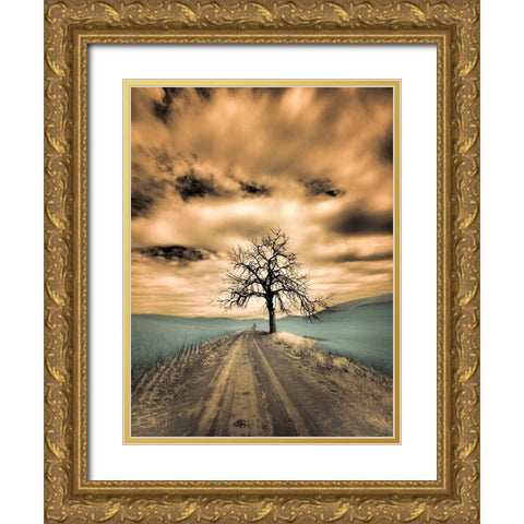 USA-Washington State-Palouse Infrared of lone tree along side country road Gold Ornate Wood Framed Art Print with Double Matting by Eggers, Terry