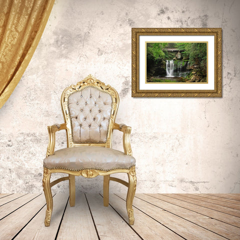 First or Upper Ekalaka Falls-Blackwater Falls State Park-West Virginia Gold Ornate Wood Framed Art Print with Double Matting by Majchrowicz, Alan