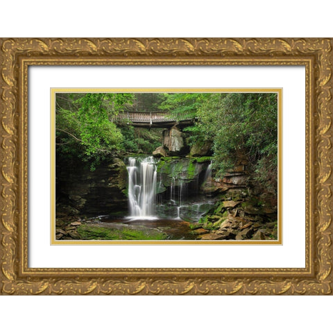 First or Upper Ekalaka Falls-Blackwater Falls State Park-West Virginia Gold Ornate Wood Framed Art Print with Double Matting by Majchrowicz, Alan