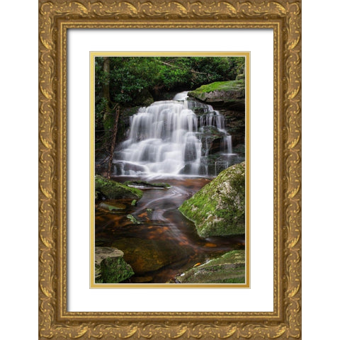 Second Ekalaka Falls-Blackwater Falls State Park-West Virginia Gold Ornate Wood Framed Art Print with Double Matting by Majchrowicz, Alan