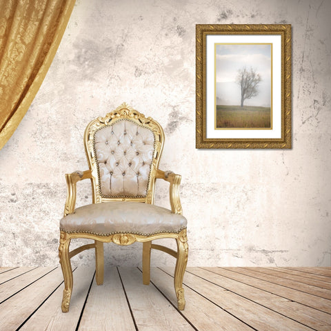 USA-West Virginia-Davis Lone tree in foggy field Gold Ornate Wood Framed Art Print with Double Matting by Jaynes Gallery