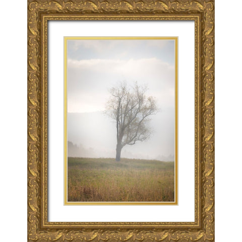 USA-West Virginia-Davis Lone tree in foggy field Gold Ornate Wood Framed Art Print with Double Matting by Jaynes Gallery