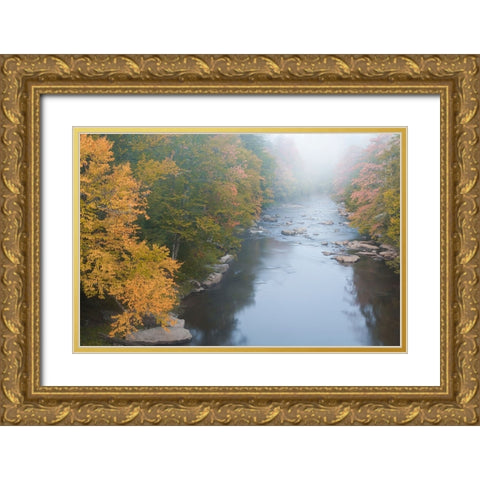 USA-West Virginia-Davis Foggy stream in Blackwater State Park Gold Ornate Wood Framed Art Print with Double Matting by Jaynes Gallery