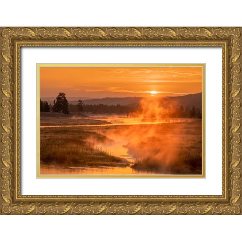 Madison River at sunrise-Yellowstone National Park-Wyoming Gold Ornate Wood Framed Art Print with Double Matting by Jones, Adam