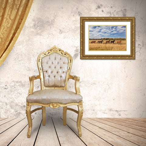 Horses just outside-Grand Teton National Park-Wyoming Gold Ornate Wood Framed Art Print with Double Matting by Jones, Adam