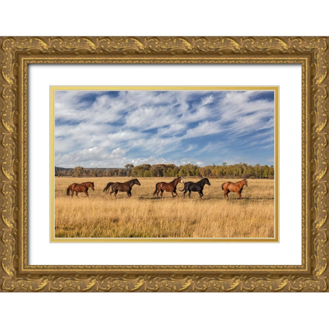 Horses just outside-Grand Teton National Park-Wyoming Gold Ornate Wood Framed Art Print with Double Matting by Jones, Adam