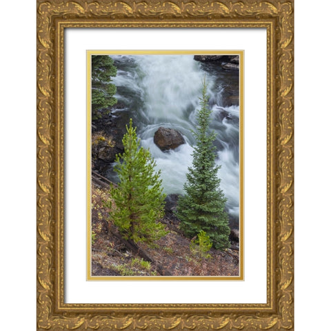 Flowing water in Firehole River-Yellowstone National Park-Wyoming Gold Ornate Wood Framed Art Print with Double Matting by Jones, Adam