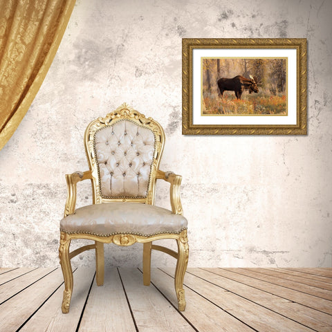 Bull moose in autumn-Grand Teton National Park-Wyoming Gold Ornate Wood Framed Art Print with Double Matting by Jones, Adam