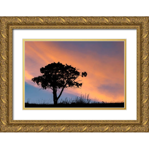 Single tree silhouetted at sunrise-Yellowstone National Park-Wyoming Gold Ornate Wood Framed Art Print with Double Matting by Jones, Adam