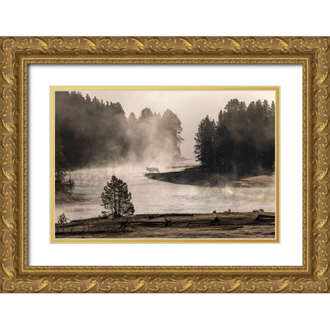 Morning mist on Yellowstone River-Yellowstone National Park-Wyoming Gold Ornate Wood Framed Art Print with Double Matting by Jones, Adam