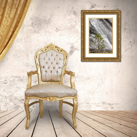 Small pine tree and Gibbon Falls-Yellowstone National Park-Wyoming Gold Ornate Wood Framed Art Print with Double Matting by Jones, Adam