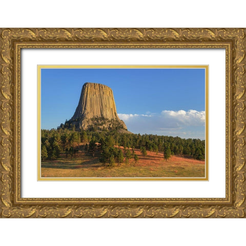 Devils Tower National Monument-Wyoming Gold Ornate Wood Framed Art Print with Double Matting by Majchrowicz, Alan