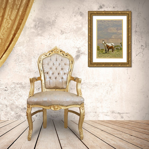 Wyoming, Carbon County Wild horse mare and colt Gold Ornate Wood Framed Art Print with Double Matting by Illg, Cathy and Gordon