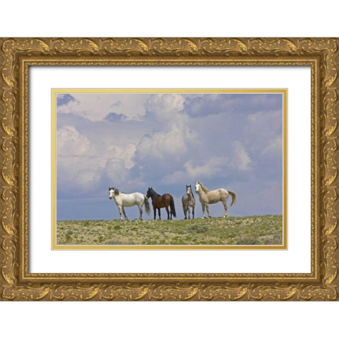 WY, Carbon Co, Wild horses and building clouds Gold Ornate Wood Framed Art Print with Double Matting by Illg, Cathy and Gordon