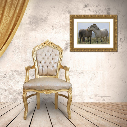 Wyoming, Carbon Wild horses grooming each other Gold Ornate Wood Framed Art Print with Double Matting by Illg, Cathy and Gordon