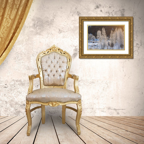 Wyoming, Grand Teton NP Frosted trees and elk Gold Ornate Wood Framed Art Print with Double Matting by Illg, Cathy and Gordon