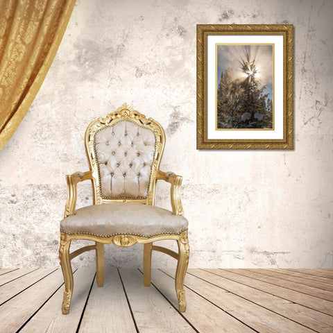 WY, Yellowstone Sunburst through tree in winter Gold Ornate Wood Framed Art Print with Double Matting by Illg, Cathy and Gordon
