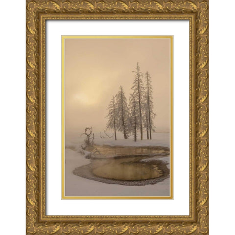 USA, Wyoming, Yellowstone NP Foggy winter scenic Gold Ornate Wood Framed Art Print with Double Matting by Illg, Cathy and Gordon