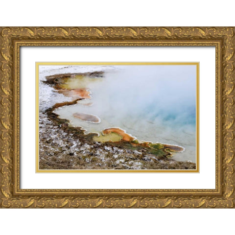 USA, Wyoming, Yellowstone NP Silex Spring pool Gold Ornate Wood Framed Art Print with Double Matting by Bush, Marie