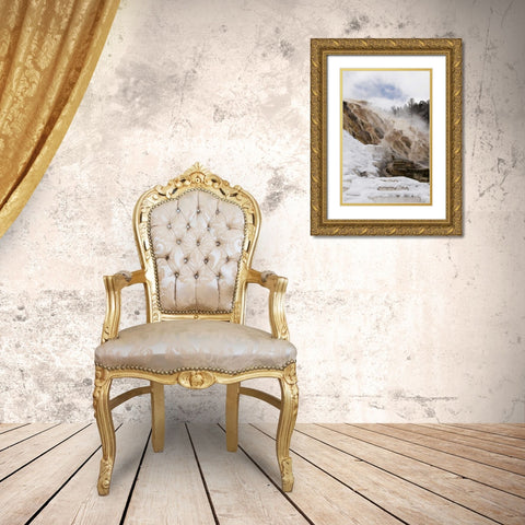 Wyoming, Yellowstone Mammoth Hot Springs scenic Gold Ornate Wood Framed Art Print with Double Matting by Bush, Marie