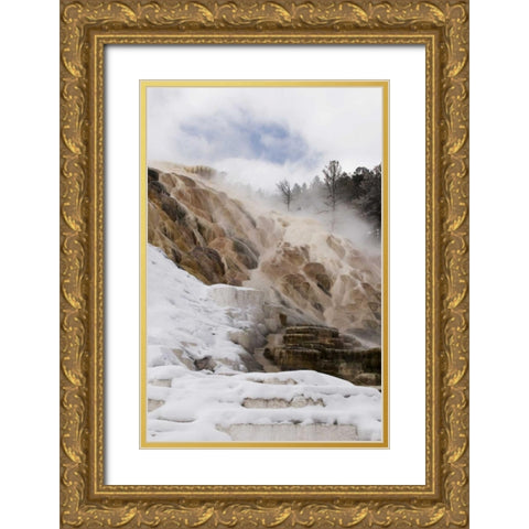 Wyoming, Yellowstone Mammoth Hot Springs scenic Gold Ornate Wood Framed Art Print with Double Matting by Bush, Marie