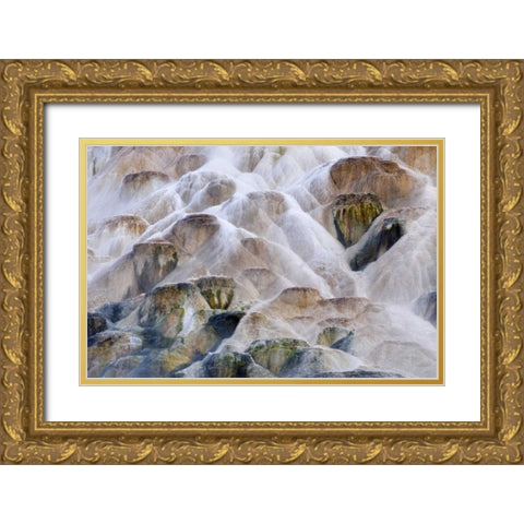 Wyoming, Yellowstone NP Palette Spring waterfall Gold Ornate Wood Framed Art Print with Double Matting by Bush, Marie