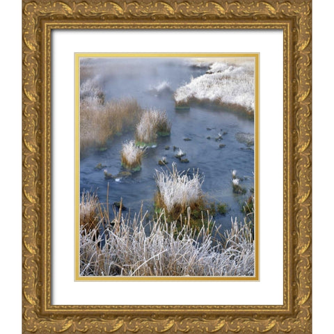 Wyoming, Yellowstone NP Frost along White Creek Gold Ornate Wood Framed Art Print with Double Matting by Terrill, Steve