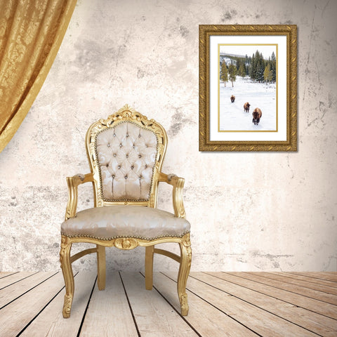 Wyoming-Yellowstone National Park Bison walking in snow Gold Ornate Wood Framed Art Print with Double Matting by Jaynes Gallery
