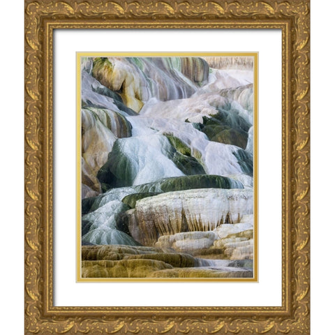 USA- Wyoming- Yellowstone National Park. Mammoth Hot Springs Gold Ornate Wood Framed Art Print with Double Matting by Gulin, Darrell