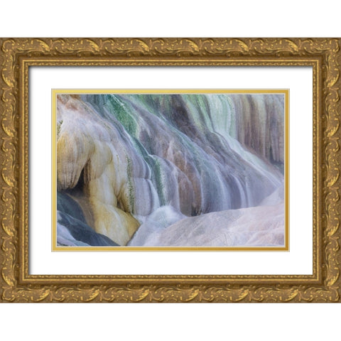 USA- Wyoming- Yellowstone National Park. Mammoth Hot Springs Gold Ornate Wood Framed Art Print with Double Matting by Gulin, Darrell