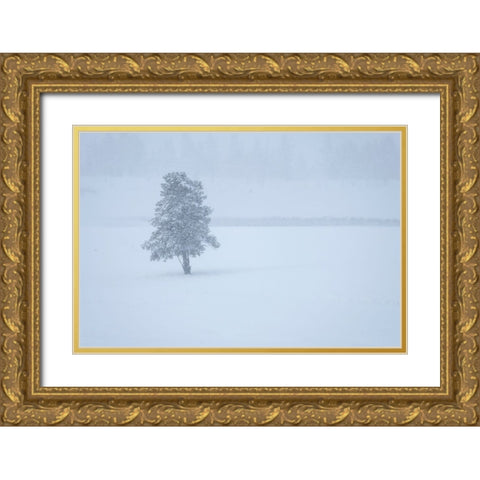 Lone tree Gold Ornate Wood Framed Art Print with Double Matting by Theodore, George and Marilu