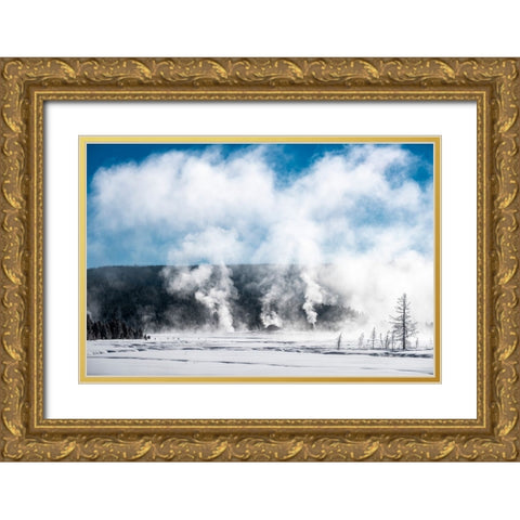 USA-Yellowstone-Norris Geyser Basin Gold Ornate Wood Framed Art Print with Double Matting by Theodore, George and Marilu