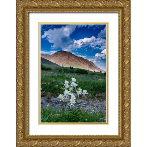 Columbine and small creek-Absaroka Mountains near Cody and Meeteetse-Wyoming-USA Gold Ornate Wood Framed Art Print with Double Matting by Garber, Howie